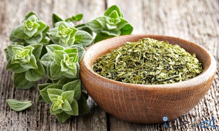 Przyprawy greckie ktore sprawdza sie w kuchni polskiej